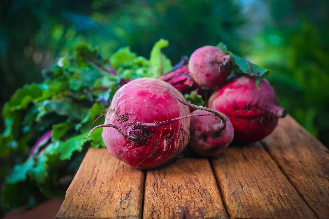 beetroot-g66230fa4c_1280