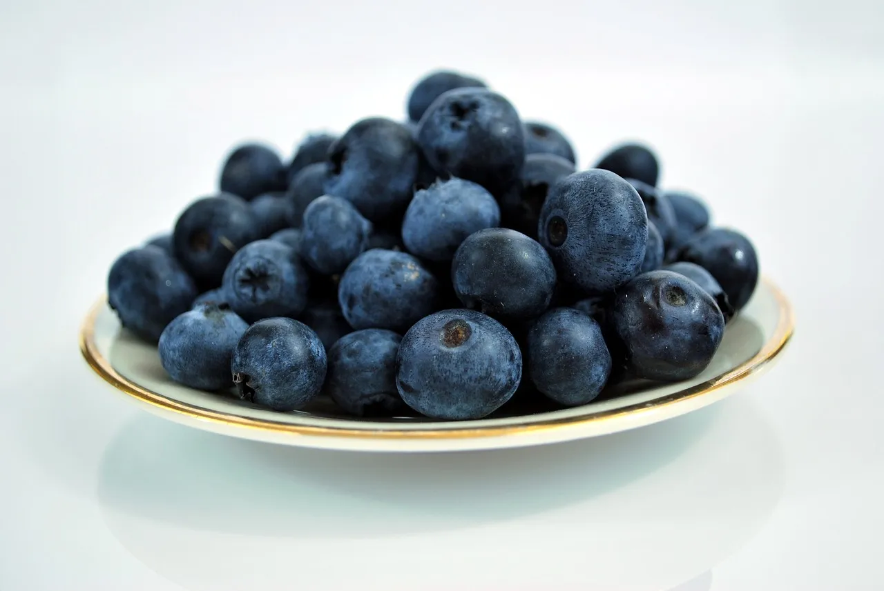 blueberries-g581448be1_1280