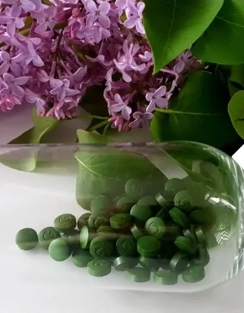 Chlorella