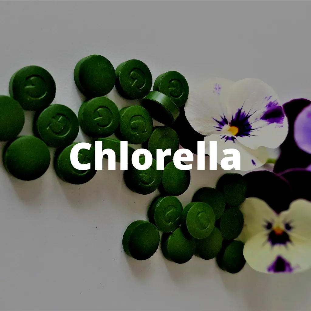 chlorella
