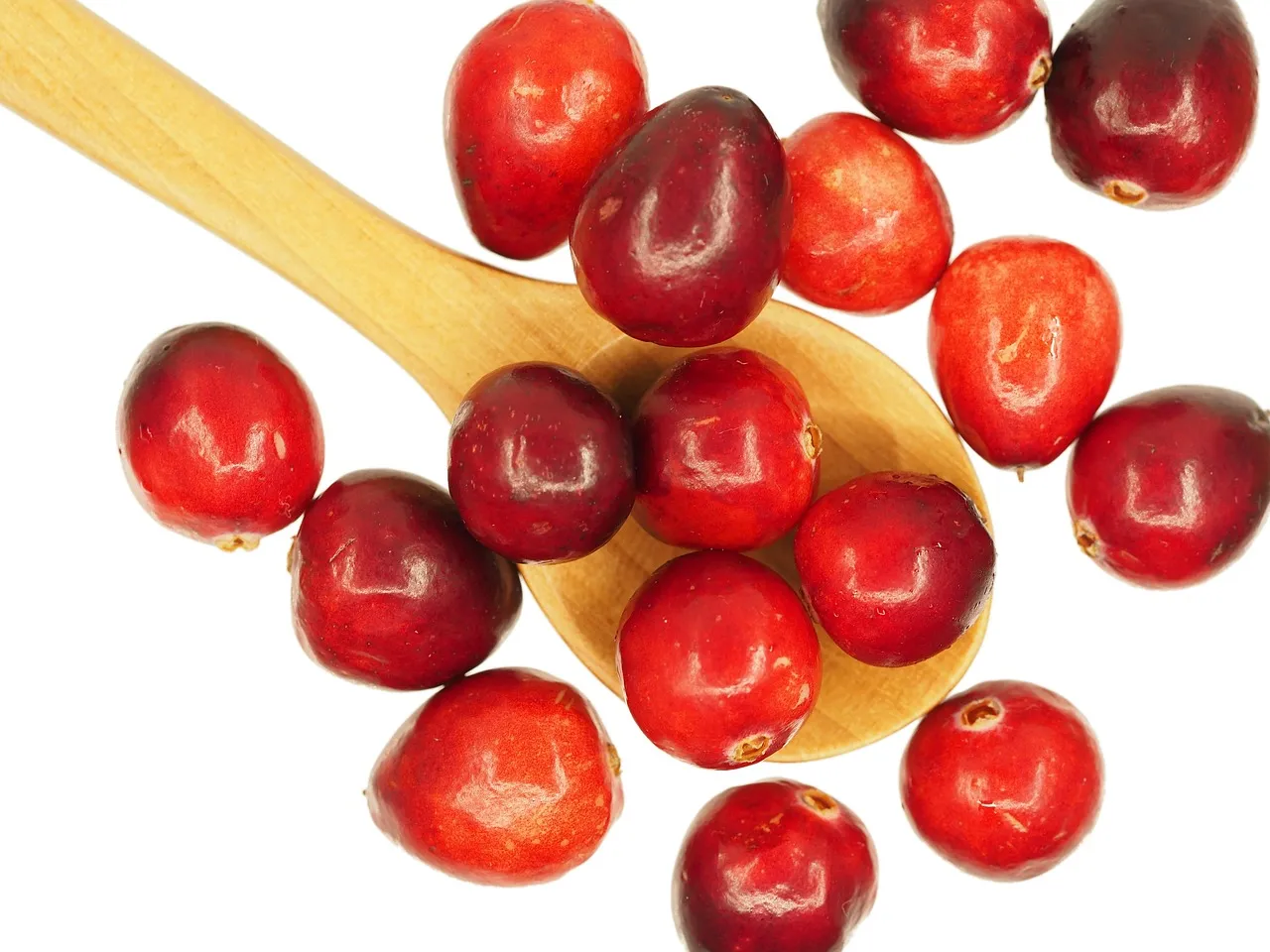 cranberry-g013fcce49_1280